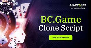 Exploring Payment Options at BC.Game A Complete Guide to Payment BC.Game